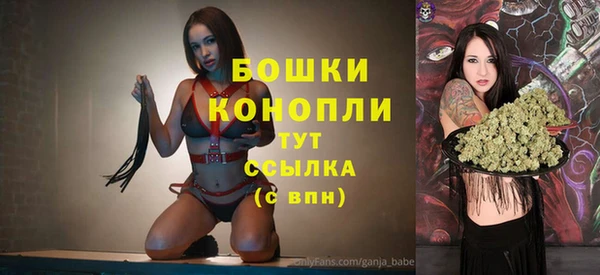 метадон Новозыбков