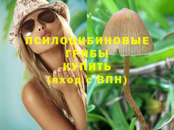 метадон Новозыбков