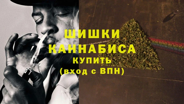 спиды Новодвинск